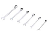 Set Chei Combinată 8-17mm 6 Piese