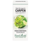 Extract Muguri Carpen 50ml PlantExtrakt