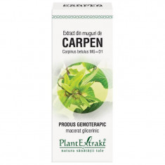 Extract Muguri Carpen 50ml PlantExtrakt