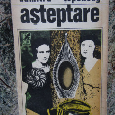 Dumitru Tepeneag - Asteptare (Editura Cartea Romaneasca, 1993)