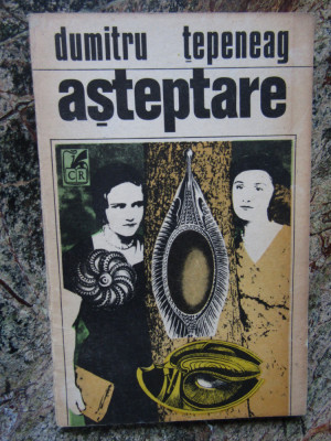 Dumitru Tepeneag - Asteptare (Editura Cartea Romaneasca, 1993) foto