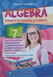 Algebra. Culegere de exercitii si probleme, clasa a 7-a - Nicolae Ivaschescu