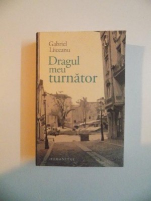 DRAGUL MEU TURNATOR de GABRIEL LIICEANU , 2013 foto