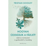 Hogyan olvassuk a f&aacute;kat? - Jelek &eacute;s mint&aacute;zatok a gy&ouml;kerektől a levelekig - Tristan Gooley