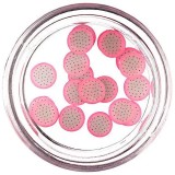 Cumpara ieftin Fructe - felii Fimo Nail Art, pitahaya, INGINAILS