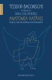 Anatomia ratarii. Tipuri si tare din Romania postcomunista/Dan-Liviu Boeriu, Teodor Baconschi