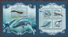 Mozambic 2018 - Fauna Marina - BALENE - BL + KB - Michel 42 Eur. - MNH foto