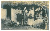 4808 - ETHNIC, Country Life, Romania - old postcard - unused, Necirculata, Printata