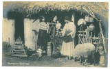 4808 - ETHNIC, Country Life, Romania - old postcard - unused