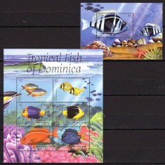 DOMINICA 2004 FAUNA MARINA PESTI TROPICALI foto