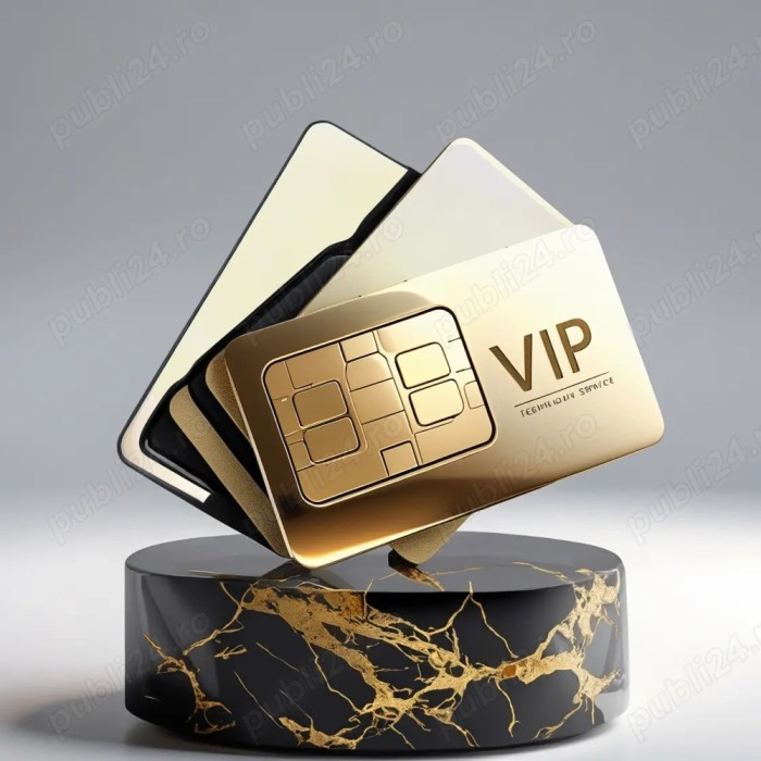 NumereDeAur NumereVipGold--07X0000007--Pret 2000 Euro--