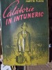 Calatorie in intuneric - Martin Flavin