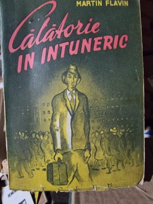 Calatorie in intuneric - Martin Flavin foto