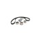 Kit distributie SUBARU OUTBACK BM BR DAYCO KTB553