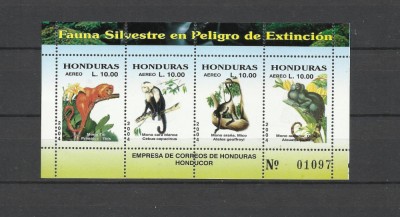 HONDURAS 2004 FAUNA MAIMUTE foto