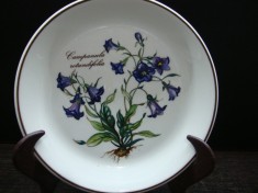 APLICA / FARFURIE DECORATIVA DIN PORTELAN VILLEROY &amp; BOCH BOTANICA