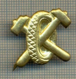 Y 1787 INSIGNA - MILITARA -SEMN DE ARMA - AUTO -PENTRU COLECTIONARI