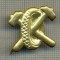 Y 1787 INSIGNA - MILITARA -SEMN DE ARMA - AUTO -PENTRU COLECTIONARI
