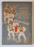 COPIII MUNTELUI DE AUR de AL. MITRU , ilustratii de V. STURMER , 1963 * PREZINTA URME DE UZURA