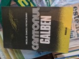 Cantonul galben vintage