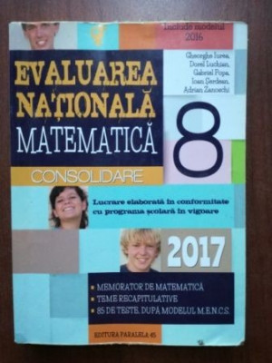 Evaluarea Nationala matematica consolidare 2017- Gheorghe Iurea, Dorel Luchian foto