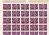 OCROTIREA NATURII FLORI ( LP 861 ) 1974 OBLITERATA COALA, Stampilat