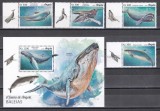 Angola 2018 - Viața marină - Balene, Serie cu Tapsuri + Colita, MNH