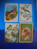 HOPCT LOT NR 380 PASARI CANTATOARE -FAUNA -4 CARTI POSTALE-CIRCULATE