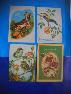 HOPCT LOT NR 380 PASARI CANTATOARE -FAUNA -4 CARTI POSTALE-CIRCULATE foto