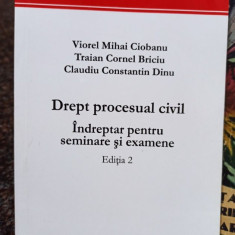 Viorel Mihai Ciobanu - Drept procesual civil, editia 2 (2010)