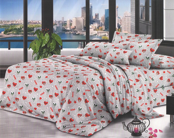 Lenjerie de pat pentru o persoana cu 2 huse de perna patrata, Haruko, bumbac mercerizat, multicolor
