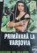 Foto  - 1
