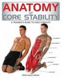 Anatomy of Core Stability: A Trainer&#039;s Guide to Core Stability
