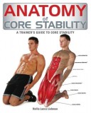 Anatomy of Core Stability: A Trainer&#039;s Guide to Core Stability