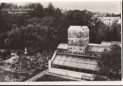 CPIB 22148 - CARTE POSTALA - CLUJ. GRADINA BOTANICA. SERA PALMIERILOR, RPR foto