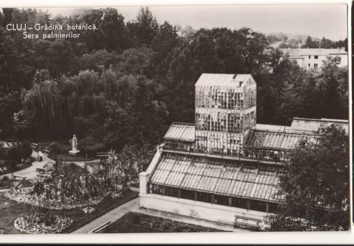 CPIB 22148 - CARTE POSTALA - CLUJ. GRADINA BOTANICA. SERA PALMIERILOR, RPR