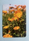Calendar 1978 Trustul Plafar