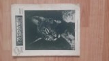 REVISTA VANATORILOR ANUL 1937 LUNA NOIEMBRIE