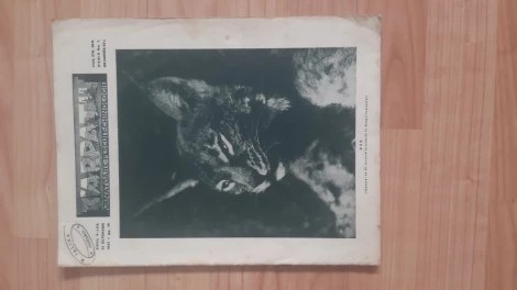 REVISTA VANATORILOR ANUL 1937 LUNA NOIEMBRIE