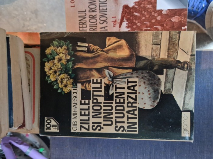 Zilele și nopțile unui student &icirc;nt&acirc;rziat vintage