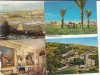 Bnk cp Israel - lot 10 carti postale uzate/circulate/necirculate, Circulata, Printata