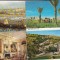 bnk cp Israel - lot 10 carti postale uzate/circulate/necirculate