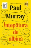 intepatura de albina - Editura Bookzone