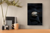 Tablou Canvas Scoică Natură Textură Contrast Detaliu Umbră Bl&acirc;ndețe, 26 x 39 cm, CMCLASS