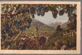 CPIB 23964 - CARTE POSTALA - MERANO, PANORAMA, ITALIA, CIRCULATA, INTERBELICA, STAMPILA, TIMBRU, Printata