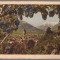 CPIB 23964 - CARTE POSTALA - MERANO, PANORAMA, ITALIA, CIRCULATA, INTERBELICA, STAMPILA, TIMBRU