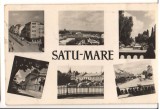 CPIB 17333 CARTE POSTALA - SATU MARE, RPR, Circulata, Fotografie