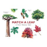 Match a Leaf: A Tree Memory Game