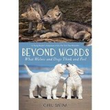Beyond Words