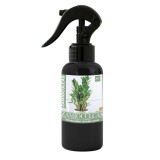&Icirc;ngrășăm&acirc;nt Organic foliar pentru Zamioculcas 500 ml